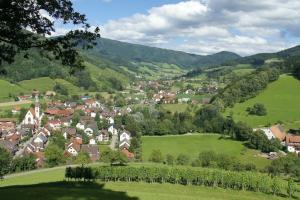 Schwarzwaldgasthaus Zum goldenen Engel, Глоттерталь