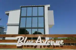 Blue Avenue, Палиури