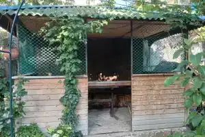Гостевой дом «Тенистый Дворик», Судак