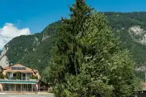 Swiss Inn Hotel & Apartments, Интерлакен