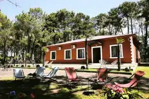 Oxygen Hotel, Шекветили