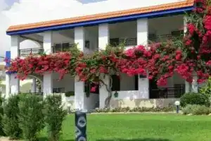Scala Apartments, Афанту