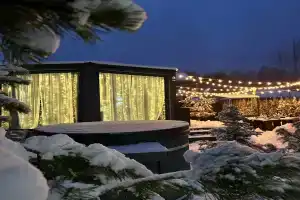 Сканди Лайф, Ильинское