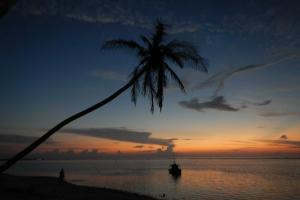 Beach Heaven Maldives - Ocean Vibes Guesthouse, остров Канухураа
