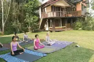 Flow Yoga Cnx House, Дой Сакет