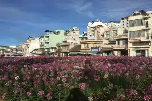 Thanh Tin Hotel Dalat, Далат