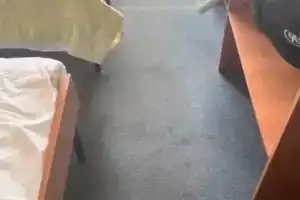 Вега, Бердск