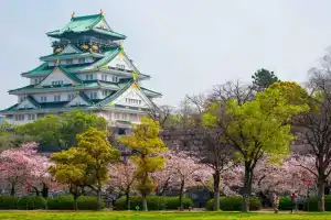 Sky Forest Ebisu, Осака