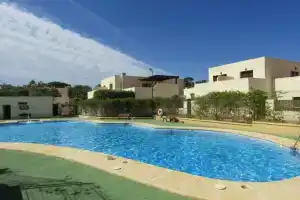 Caballo de Mar Frison, Сан-Хосе