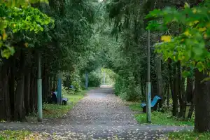 Санаторий «Прибрежный», Белое Озеро