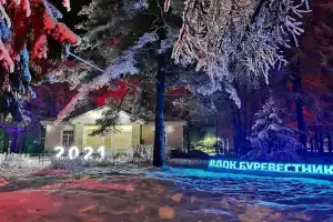 Буревестник