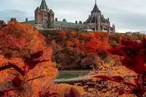 ReStays Ottawa, Оттава