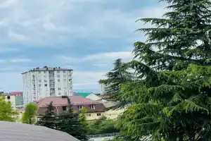 Гостевой дом «Семейная гавань», Адлер