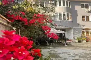 Гостевой дом «Семейная гавань», Адлер