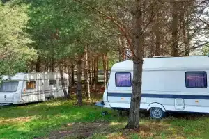 ЭКОферма «Меркулово» в Клепиковском районе