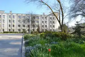 Чайка им. Гелиловичей