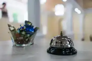Отель «Купеческий», Мичуринск