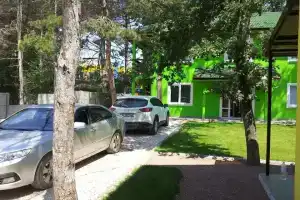 Зеленый Мир