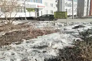 Авиатор, Арамиль