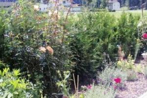 Appartment Christine, Ленгенфельд