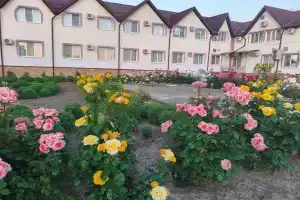 Парк Отель, Новопокровская