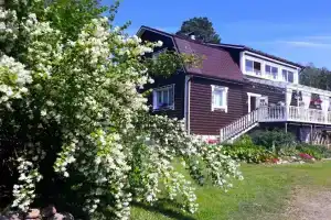 Гостевой комплекс «Сосны»