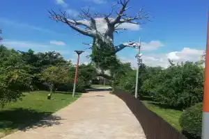 Олимпийский Парк, Адлер