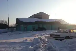 Медный всадник, Шахунья