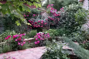 Розовый сад, Горячий Ключ