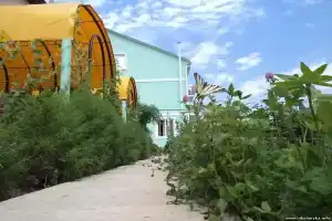 Лилия, Николаевка