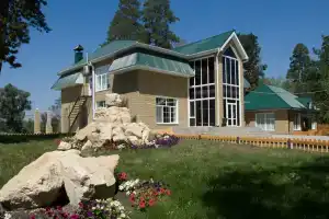 База отдыха «Сосны», Партизанский