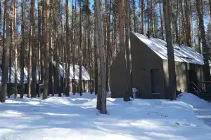 Гостевой дом в Демидково