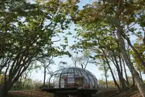 Глэмпинг «Amore Море», Лазурный