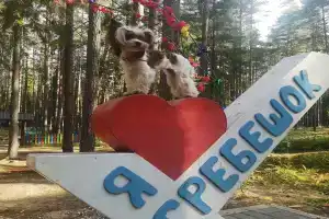 База отдыха «Гребешок», Коробово