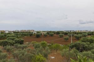 Il Sole Bed and Breakfast, Монополи