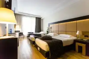 Hotel Atlantic Congress & SPA Turin Airport, Венария-Реале