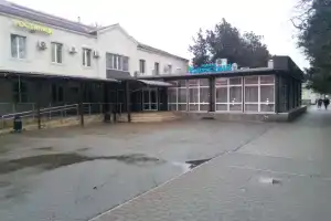 Камелия, Брюховецкая