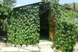 Гостевой дом на Ленина 40а, Морское