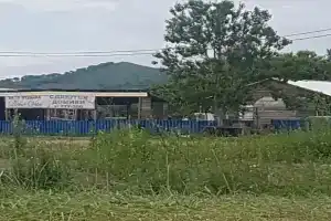 Дольче вита, Приисковый