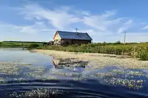 Золотая рыбка