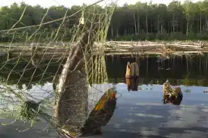 Отдых на озёрах Сегозерья, Паданы