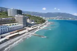 Дельфин, Ялта