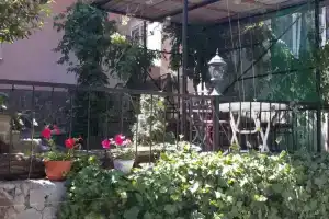 Улыбка, Алушта