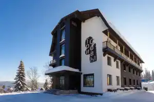 Три совы