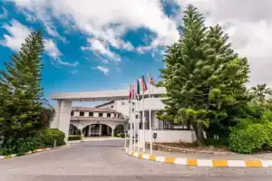 The Olive Tree Hotel, Кирения