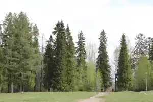 Бобровниково