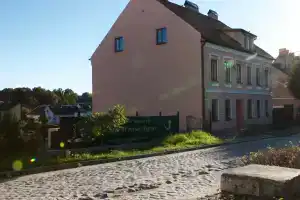 Мини-отель «Серый Гусь»