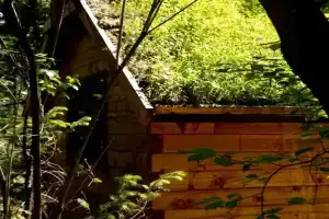 Хутор Кедровый на Зеленом острове, Черемшанка