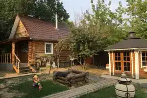 Усадьба «Дружба», Оренбург