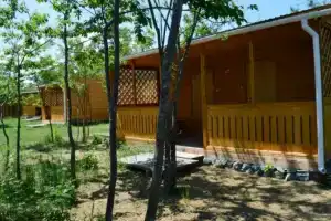 База отдыха «Фламинго», Волчанец